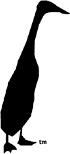 Logo-snerdware-com.gif