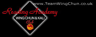 Logo-teamwingchun-co-uk.gif