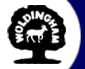 Logo-woldingham-com.gif