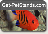 Logo-get-petstands-com.jpg