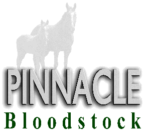 Logo-pinnacleracing-co-uk.gif