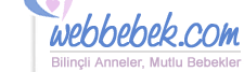 Logo-webbebek-com.gif