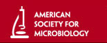 Logo-asm-org.jpg
