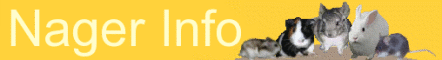 Logo-diebrain-de.gif