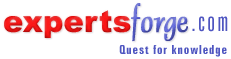 Logo-expertsforge-com.gif