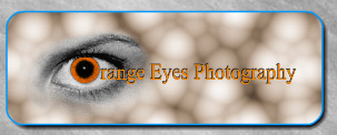 Logo-orangeyes-ca.jpg