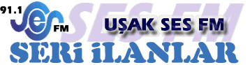 Logo-sesfm-biz.gif