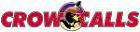 Logo-crazycrow-com.jpg