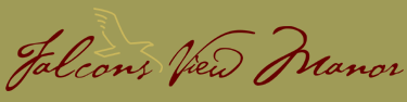 Logo-falconsview-com.gif