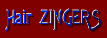 Logo-hairzingers-com.gif