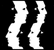 Logo-nydansker-dk.gif