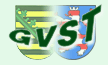 Logo-gvst-info.gif