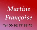 Logo-martine-reunion-com.gif