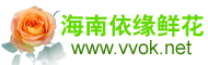 Logo-vvok-net.gif