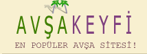 Logo-avsakeyfi-com.gif