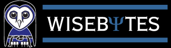 Logo-wisebytes-net.gif