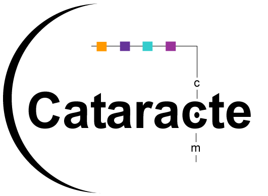 Logo-cataracte-com.gif