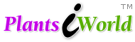 Logo-plantsiworld-com.gif