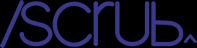 Logo-n-scrub-com.gif