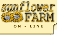 Logo-sunflowerfarm-com-pl.gif