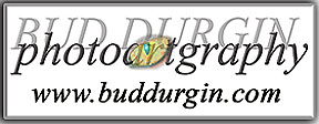 Logo-buddurgin-com.jpg