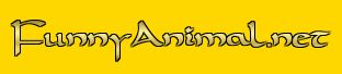Logo-funnyanimal-net.jpg