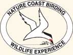 Logo-ncbwe-com.jpg