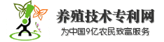 Logo-net-patent-cn.gif