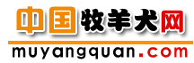 Logo-muyangquan-com.gif