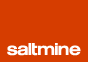 Logo-saltmine-com.gif