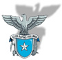 Logo-caipisa-it.jpg