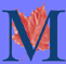 Logo-maytree-com.gif