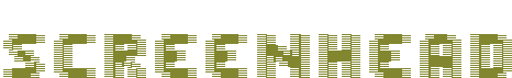 Logo-screenhead-com.gif