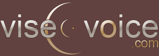 Logo-viseovoice-com.png
