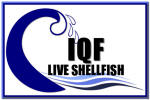 Logo-iqfliveshellfish-com.jpg