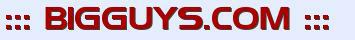Logo-bigguys-com.jpg