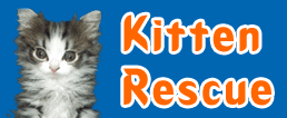 Logo-kitten-rescue-com.gif