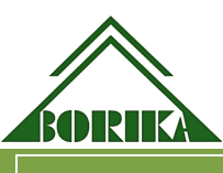 Logo-borika-bg.gif