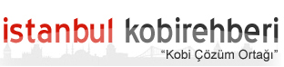 Logo-istanbulkobi-com.jpg