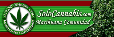 Logo-solocannabis-com.gif