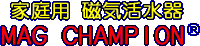 Logo-super-magnum-com.gif