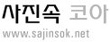 Logo-sajinsok-net.gif