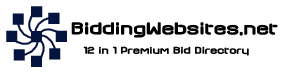 Logo-biddingwebsites-net.gif