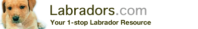 Logo-labradors-com.gif