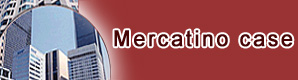 Logo-mercatinocase-com.jpg