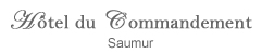 Logo-saumurpat-com.jpg