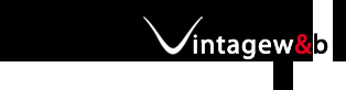 Logo-vintageweb-it.gif