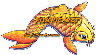 Logo-fishpic-net.png