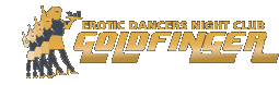 Logo-goldfinger-is.gif