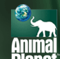 Logo-animalplanet-pl.gif